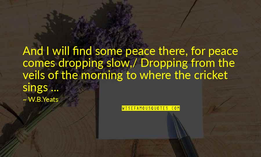 Cartulina Canson Quotes By W.B.Yeats: And I will find some peace there, for
