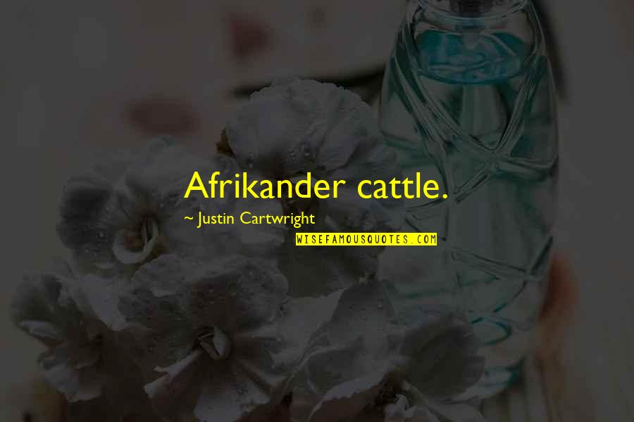 Cartwright Quotes By Justin Cartwright: Afrikander cattle.