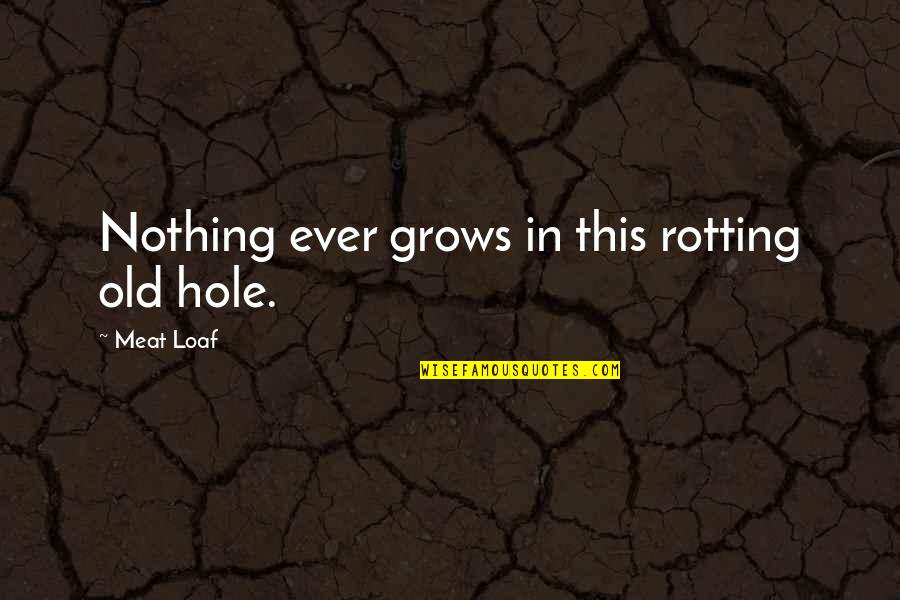 Carvell Teasett Quotes By Meat Loaf: Nothing ever grows in this rotting old hole.