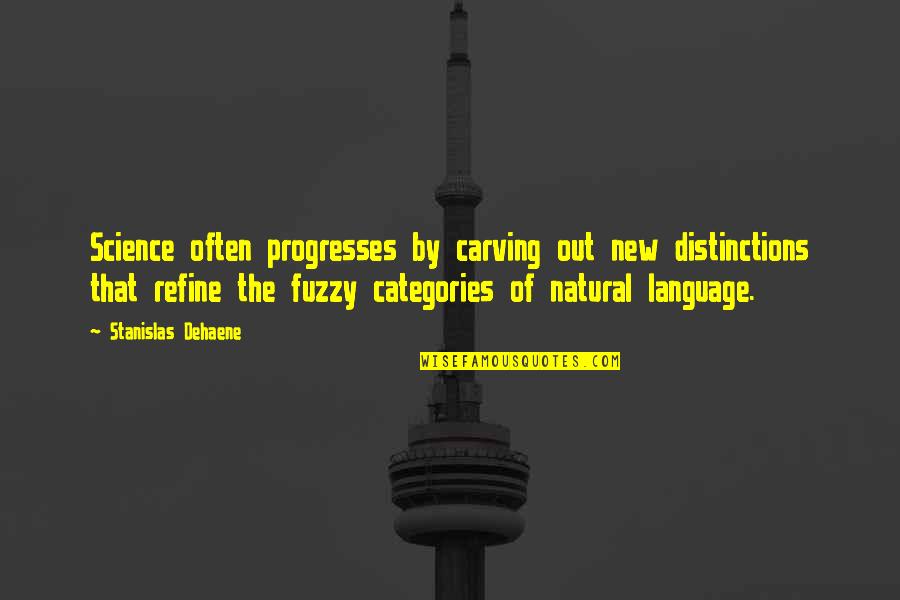 Carving's Quotes By Stanislas Dehaene: Science often progresses by carving out new distinctions