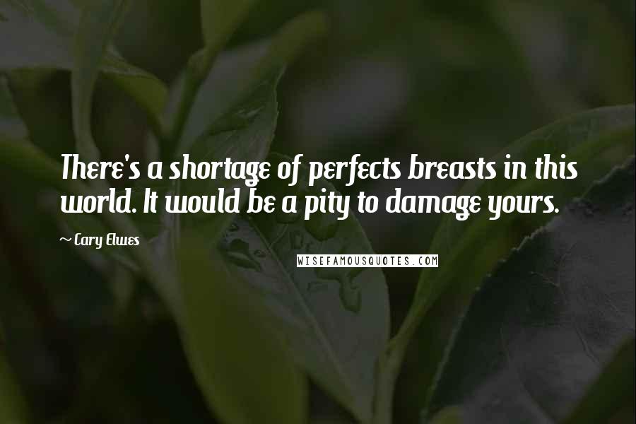 Cary Elwes quotes: There's a shortage of perfects breasts in this world. It would be a pity to damage yours.