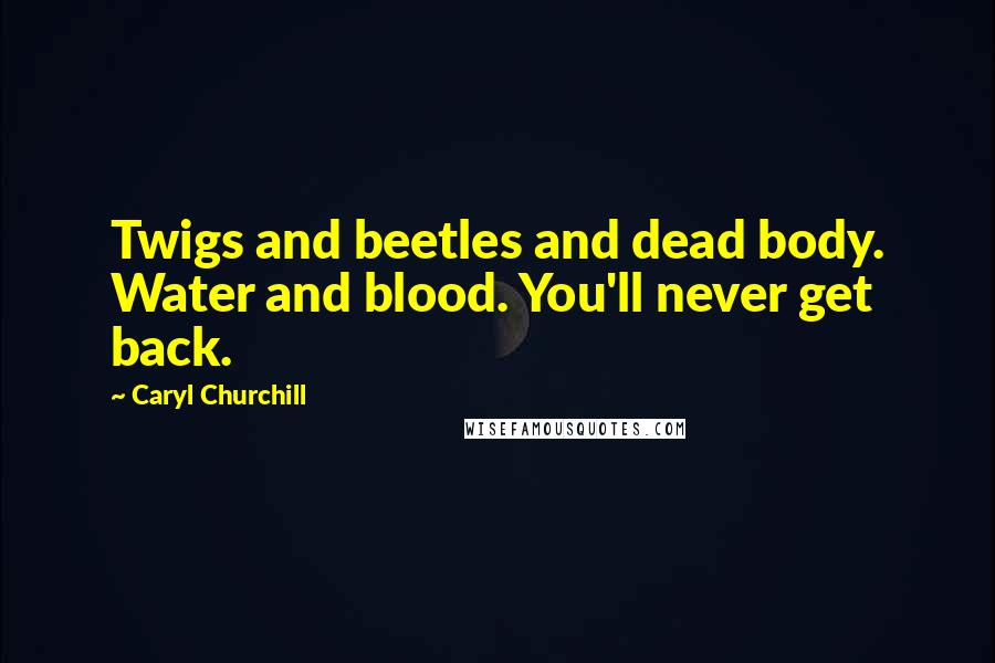 Caryl Churchill quotes: Twigs and beetles and dead body. Water and blood. You'll never get back.