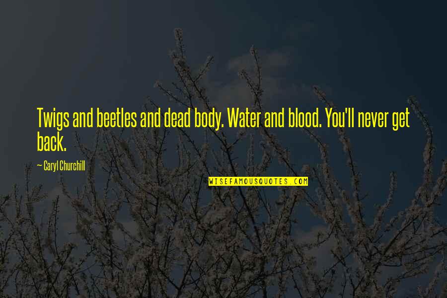 Caryl Quotes By Caryl Churchill: Twigs and beetles and dead body. Water and