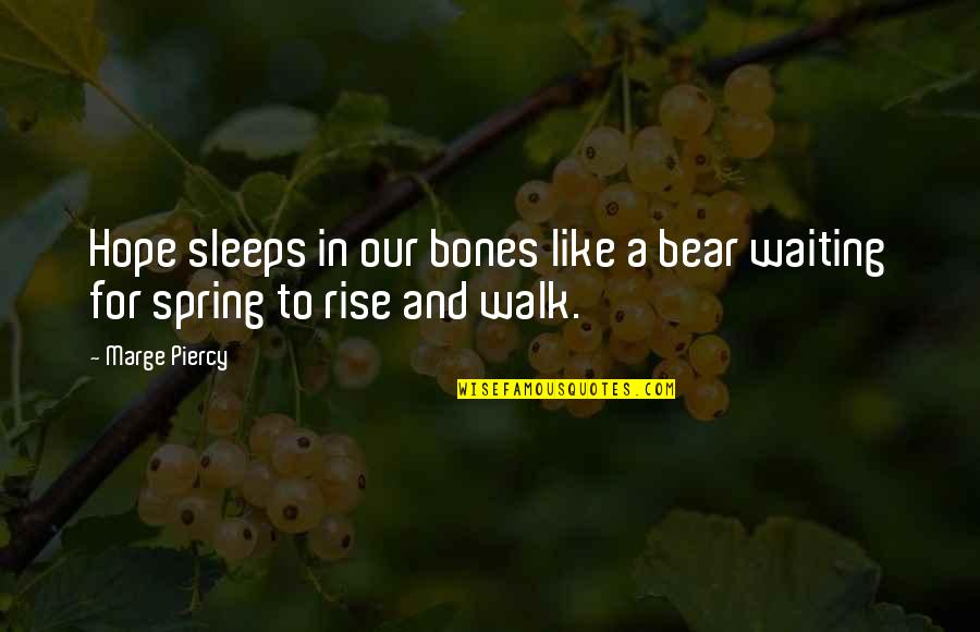 Casadomaine Quotes By Marge Piercy: Hope sleeps in our bones like a bear