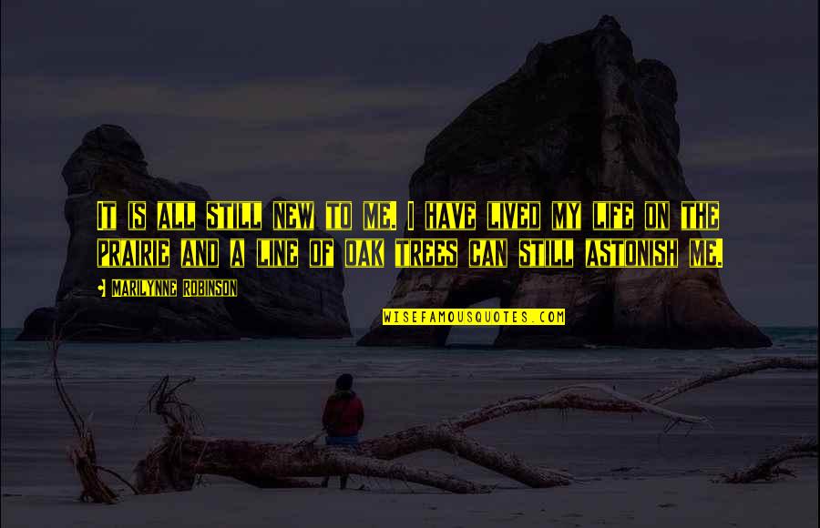 Casadomaine Quotes By Marilynne Robinson: It is all still new to me. I Casadomaine Quotes By Marilynne Robinson: It is all still new to me. I