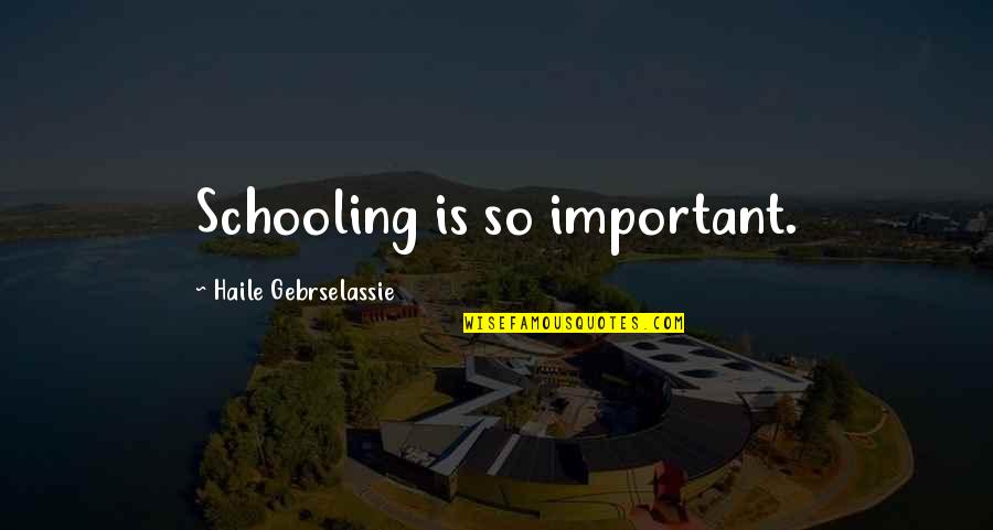 Cascading Plants Quotes By Haile Gebrselassie: Schooling is so important. Cascading Plants Quotes By Haile Gebrselassie: Schooling is so important.