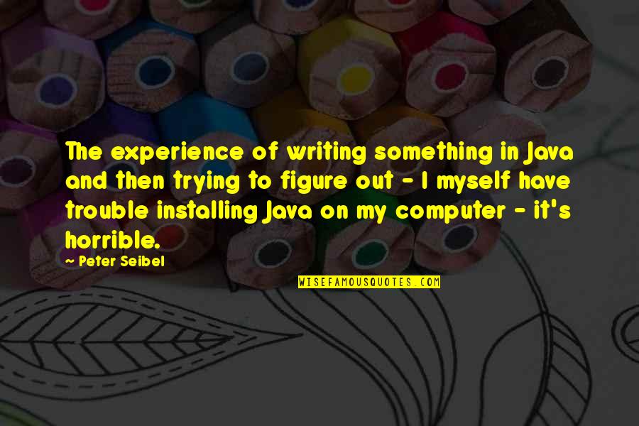Casden Company Quotes By Peter Seibel: The experience of writing something in Java and