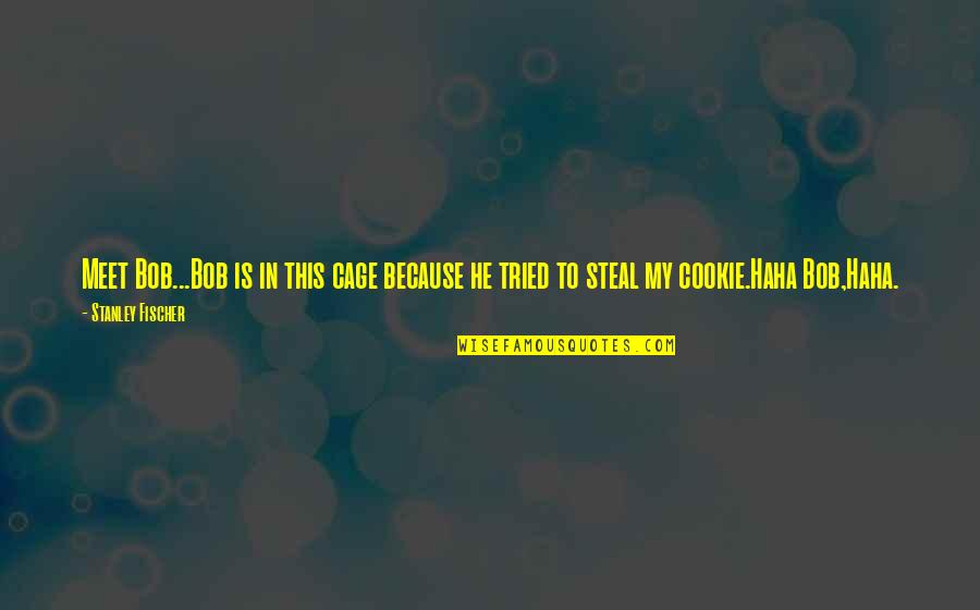 Case Manager Thank You Quotes By Stanley Fischer: Meet Bob...Bob is in this cage because he