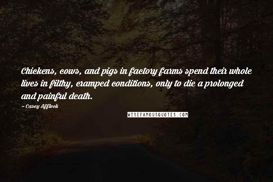 Casey Affleck quotes: Chickens, cows, and pigs in factory farms spend their whole lives in filthy, cramped conditions, only to die a prolonged and painful death.