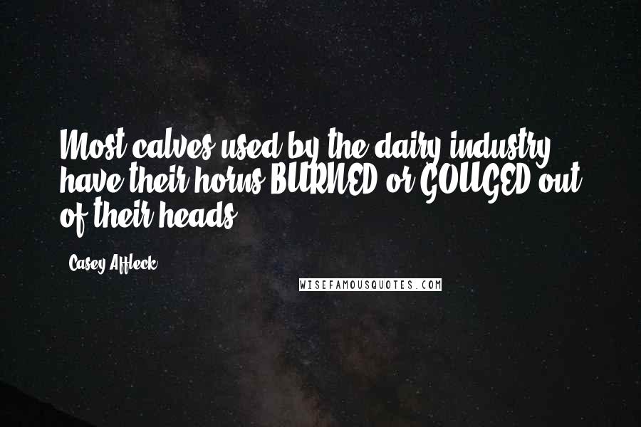 Casey Affleck quotes: Most calves used by the dairy industry have their horns BURNED or GOUGED out of their heads.