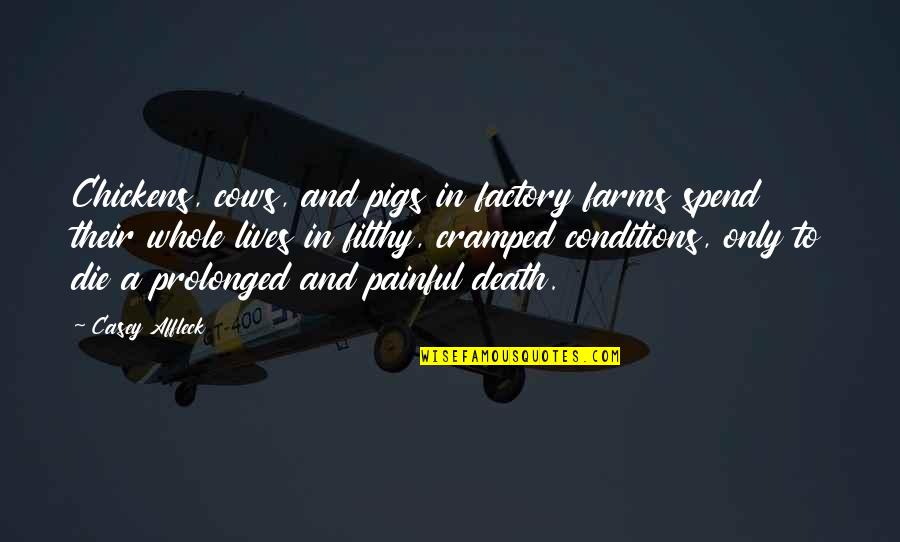 Casey Affleck Quotes By Casey Affleck: Chickens, cows, and pigs in factory farms spend Casey Affleck Quotes By Casey Affleck: Chickens, cows, and pigs in factory farms spend
