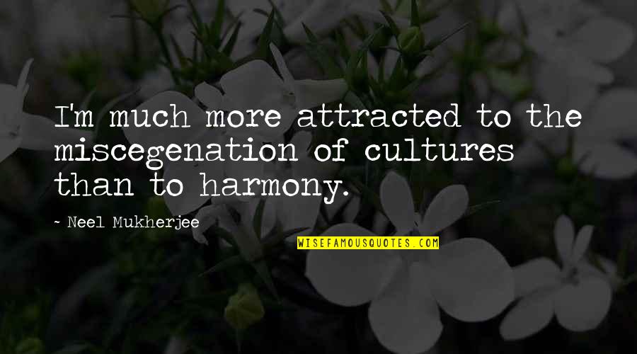 Casey Braxton Quotes By Neel Mukherjee: I'm much more attracted to the miscegenation of