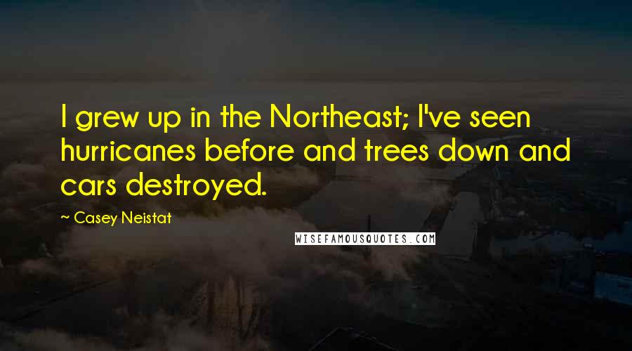 Casey Neistat quotes: I grew up in the Northeast; I've seen hurricanes before and trees down and cars destroyed.