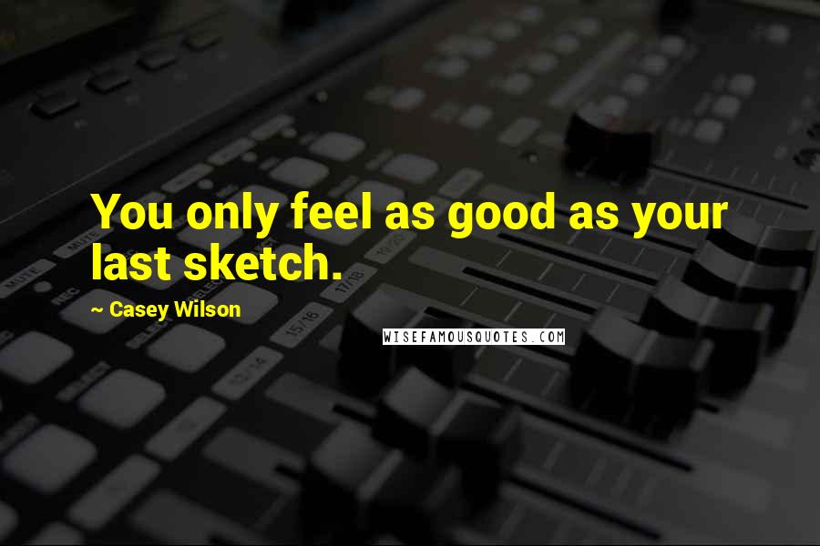 Casey Wilson quotes: You only feel as good as your last sketch.