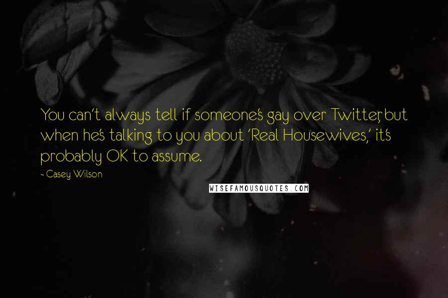 Casey Wilson quotes: You can't always tell if someone's gay over Twitter, but when he's talking to you about 'Real Housewives,' it's probably OK to assume.