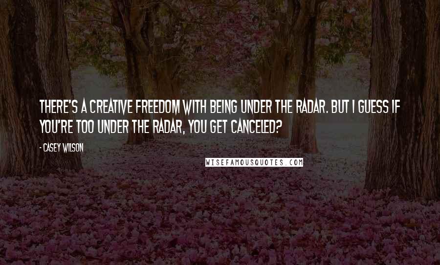 Casey Wilson quotes: There's a creative freedom with being under the radar. But I guess if you're too under the radar, you get canceled?