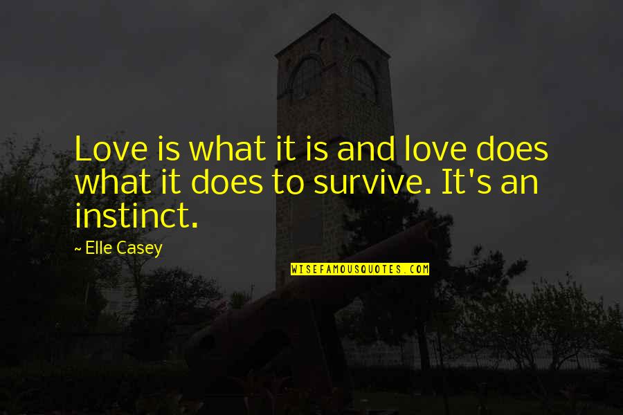 Casey's Quotes By Elle Casey: Love is what it is and love does