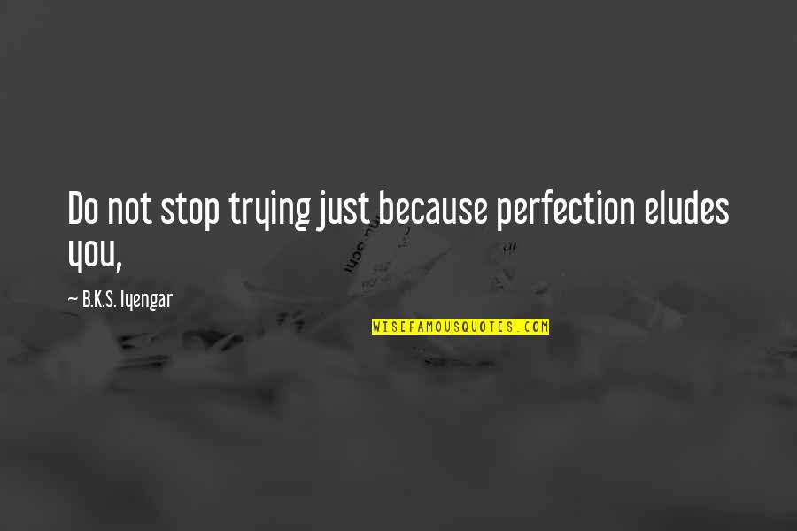 Cashed Up Bogan Quotes By B.K.S. Iyengar: Do not stop trying just because perfection eludes
