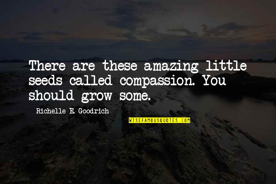 Casian Restaurant Quotes By Richelle E. Goodrich: There are these amazing little seeds called compassion.
