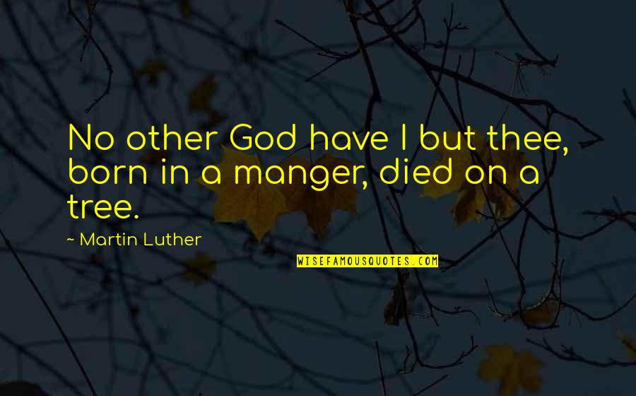Cassagnoles Quotes By Martin Luther: No other God have I but thee, born