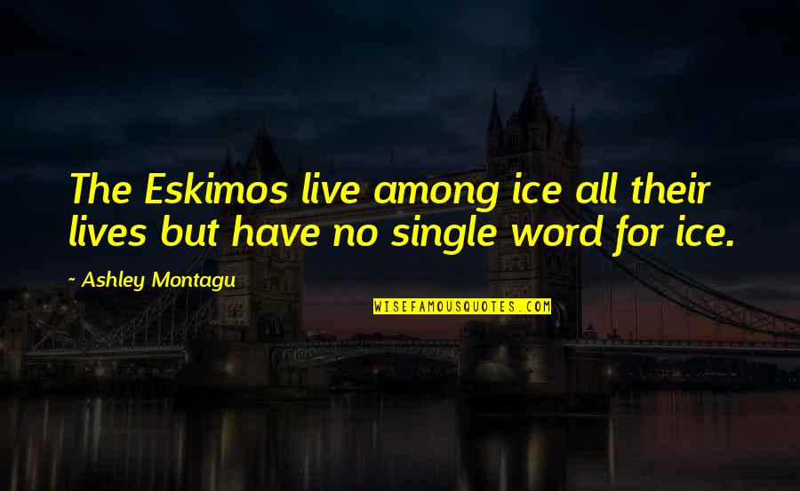 Cassalia Quotes By Ashley Montagu: The Eskimos live among ice all their lives