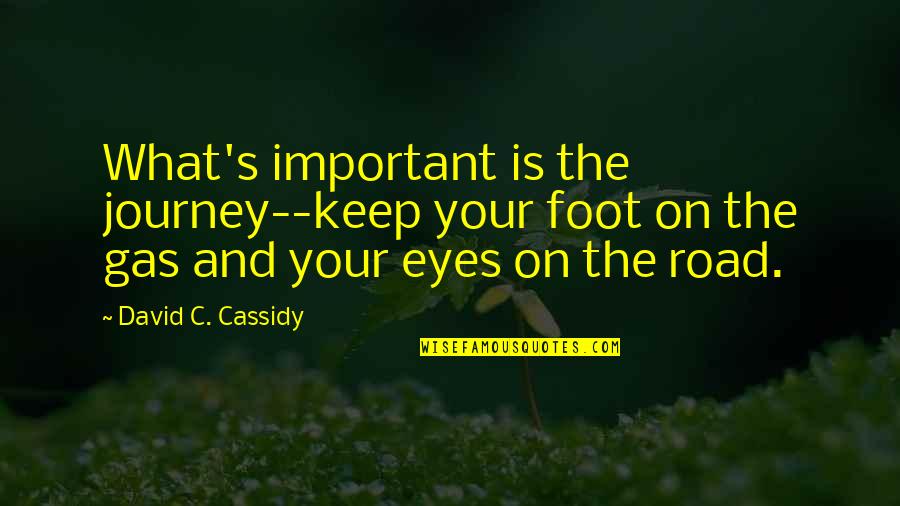 Cassidy's Quotes By David C. Cassidy: What's important is the journey--keep your foot on