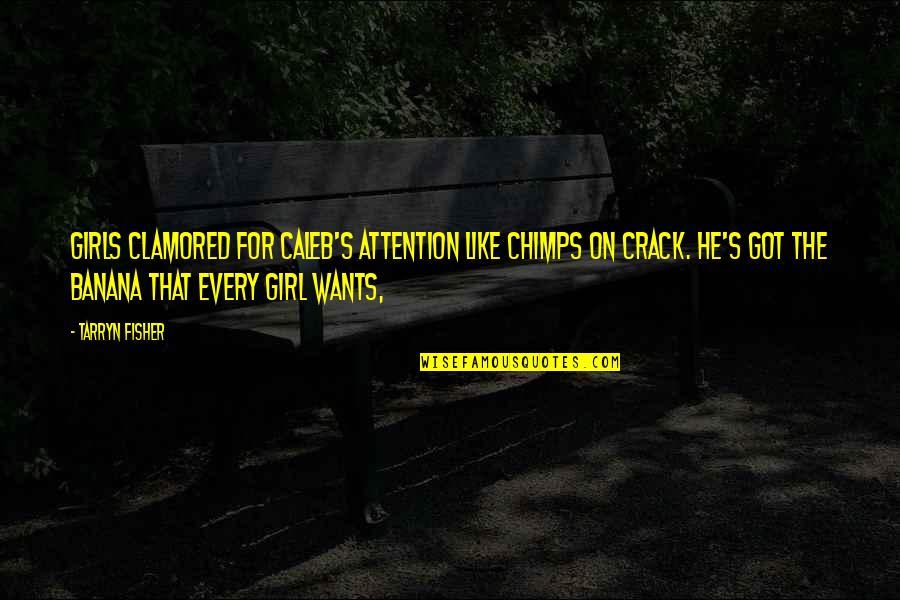 Castagnier Bedroom Quotes By Tarryn Fisher: Girls clamored for Caleb's attention like chimps on