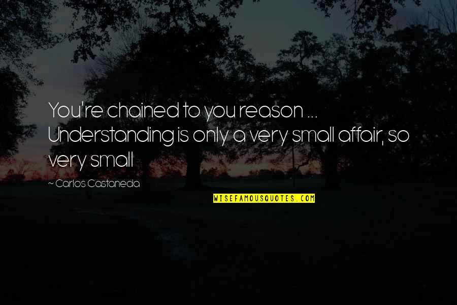 Castaneda Carlos Quotes By Carlos Castaneda: You're chained to you reason ... Understanding is