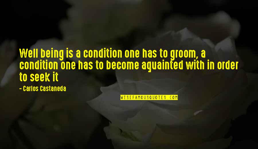 Castaneda Carlos Quotes By Carlos Castaneda: Well being is a condition one has to