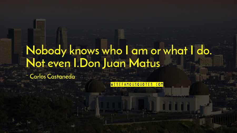 Castaneda Carlos Quotes By Carlos Castaneda: Nobody knows who I am or what I