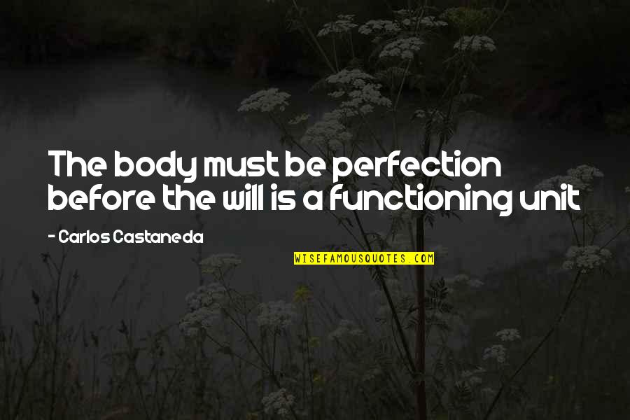 Castaneda Carlos Quotes By Carlos Castaneda: The body must be perfection before the will