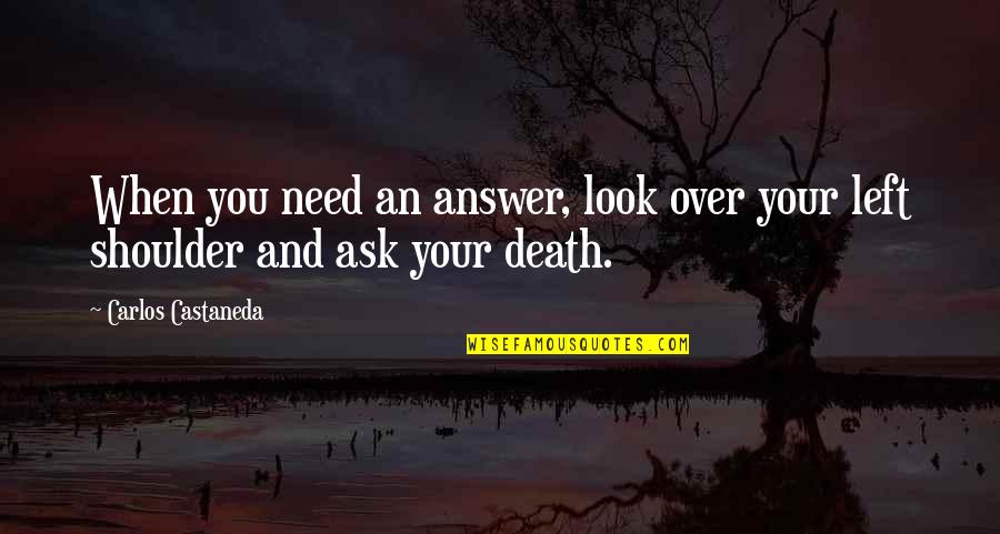 Castaneda Carlos Quotes By Carlos Castaneda: When you need an answer, look over your