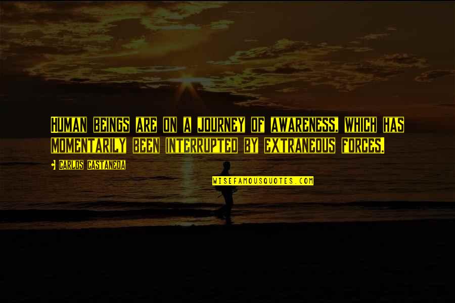 Castaneda's Quotes By Carlos Castaneda: Human beings are on a journey of awareness,