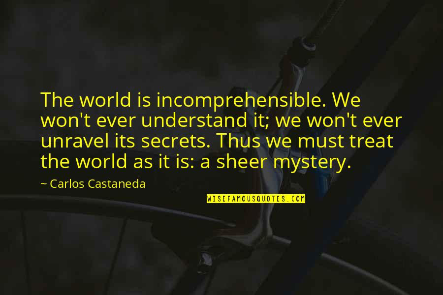 Castaneda's Quotes By Carlos Castaneda: The world is incomprehensible. We won't ever understand