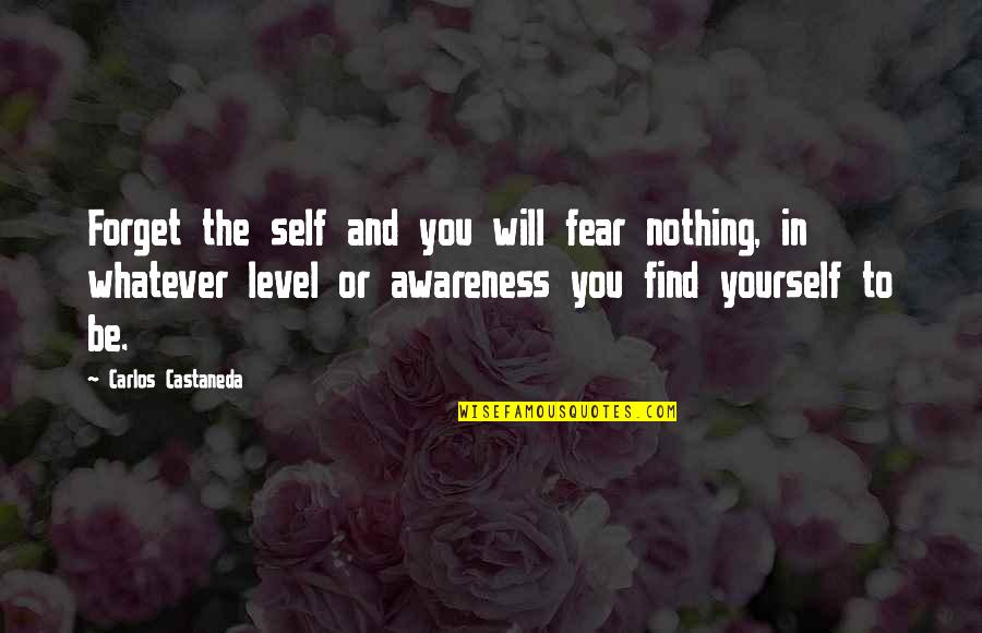 Castaneda's Quotes By Carlos Castaneda: Forget the self and you will fear nothing,