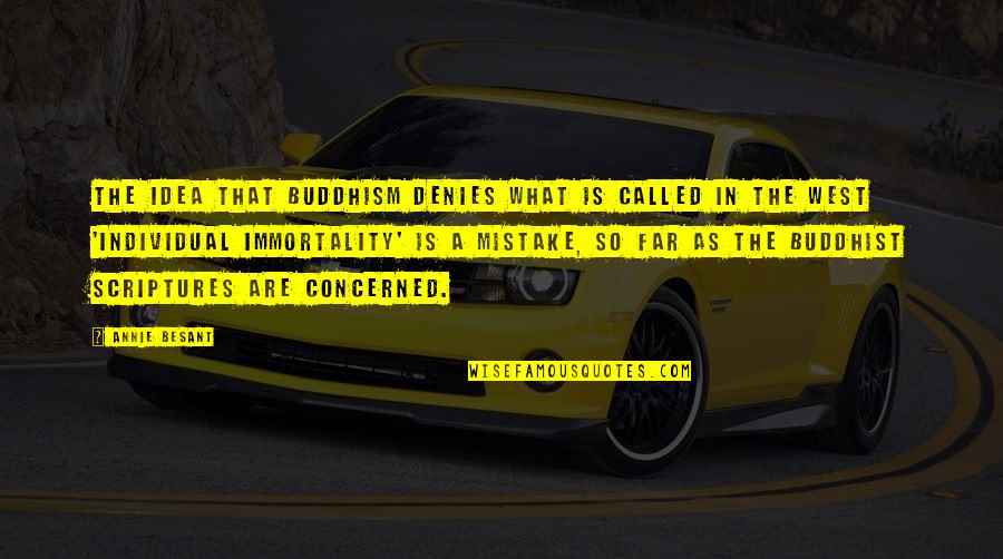 Castaner Shoes Quotes By Annie Besant: The idea that Buddhism denies what is called Castaner Shoes Quotes By Annie Besant: The idea that Buddhism denies what is called