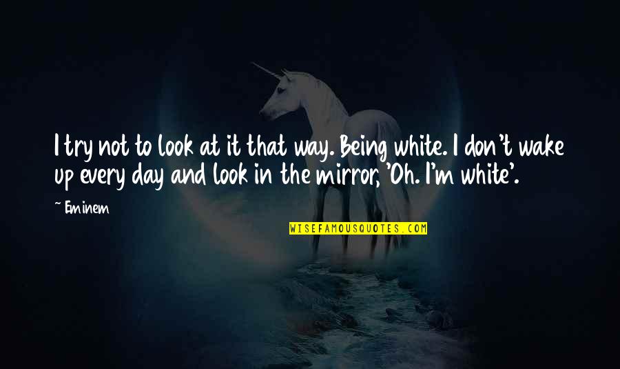 Castangia Quotes By Eminem: I try not to look at it that Castangia Quotes By Eminem: I try not to look at it that