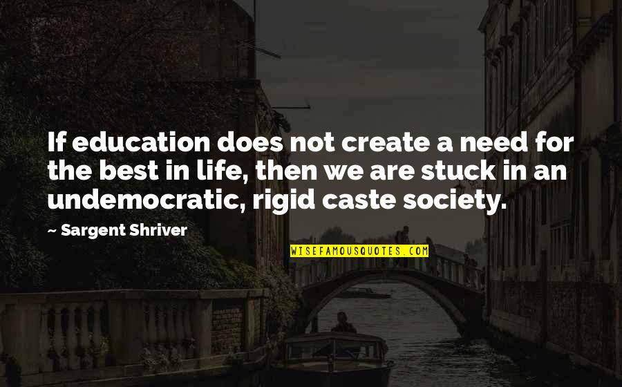 Caste Quotes By Sargent Shriver: If education does not create a need for