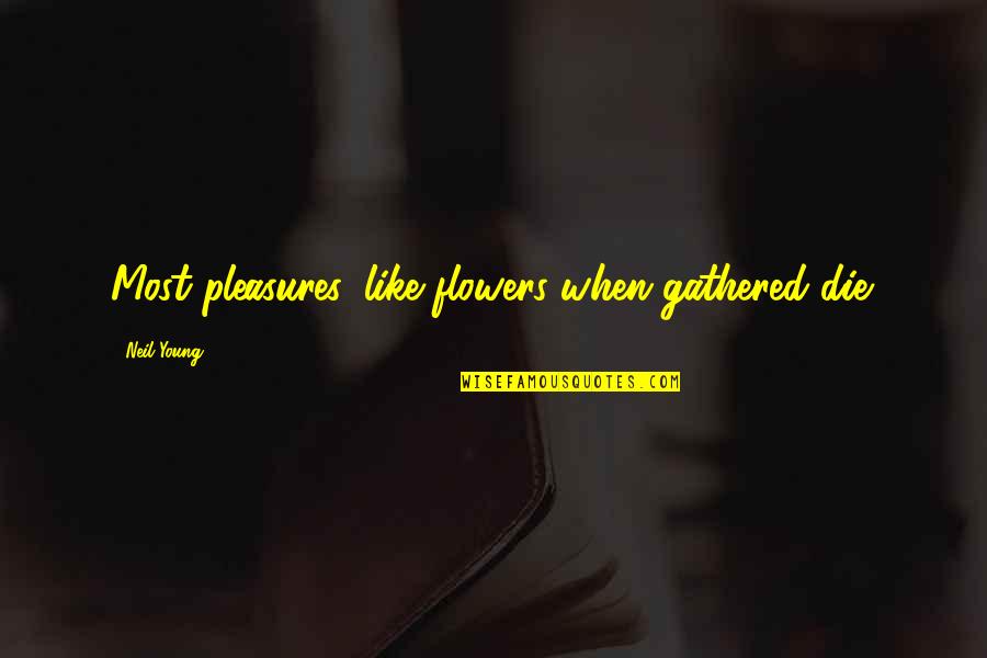 Castelbranco Family Of Cascais Quotes By Neil Young: Most pleasures, like flowers when gathered die.
