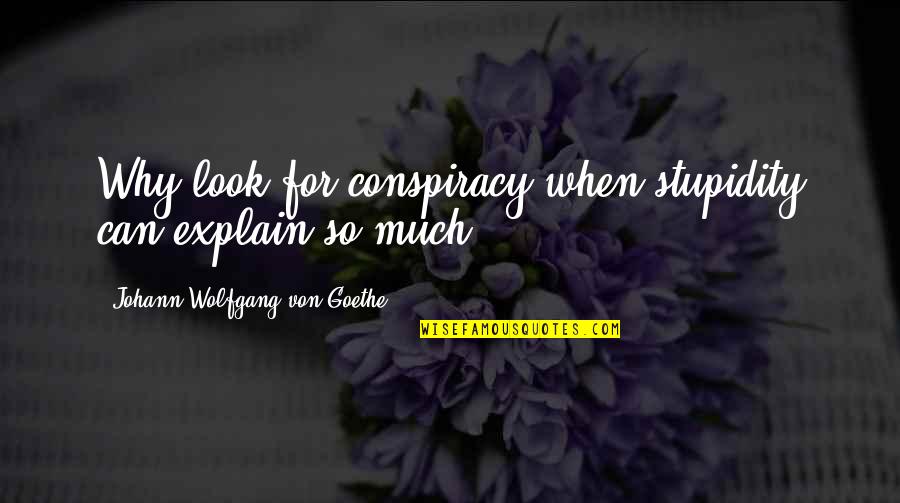 Casten Ives Quotes By Johann Wolfgang Von Goethe: Why look for conspiracy when stupidity can explain Casten Ives Quotes By Johann Wolfgang Von Goethe: Why look for conspiracy when stupidity can explain