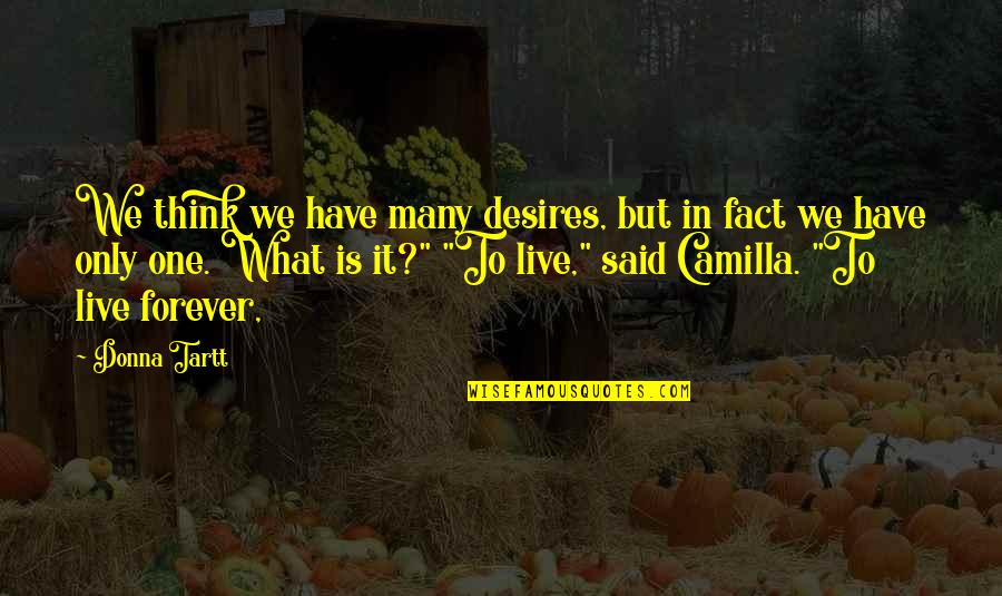 Castigations Quotes By Donna Tartt: We think we have many desires, but in Castigations Quotes By Donna Tartt: We think we have many desires, but in