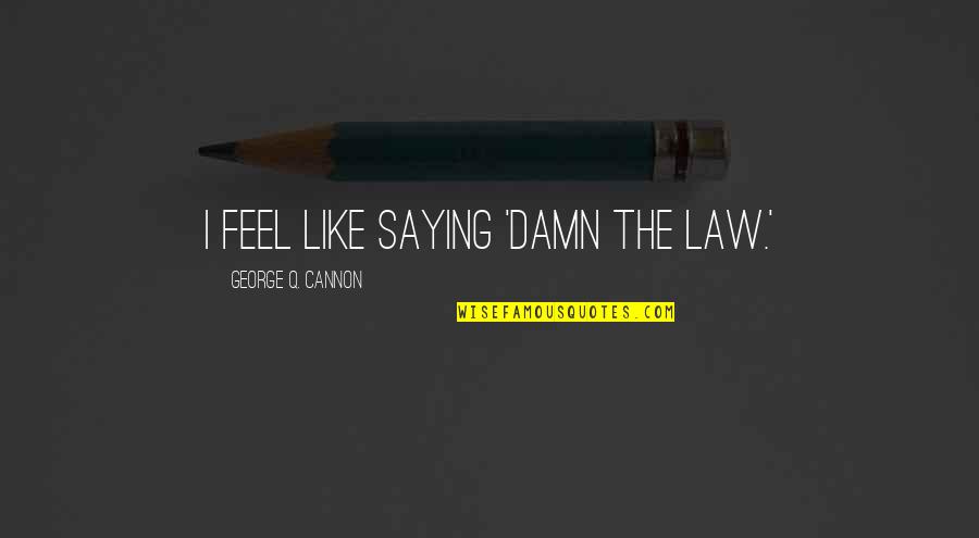 Castillejos Eye Quotes By George Q. Cannon: I feel like saying 'Damn the Law.' Castillejos Eye Quotes By George Q. Cannon: I feel like saying 'Damn the Law.'