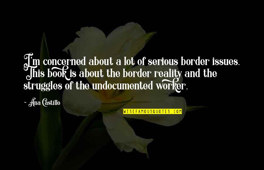Castillo Quotes By Ana Castillo: I'm concerned about a lot of serious border Castillo Quotes By Ana Castillo: I'm concerned about a lot of serious border