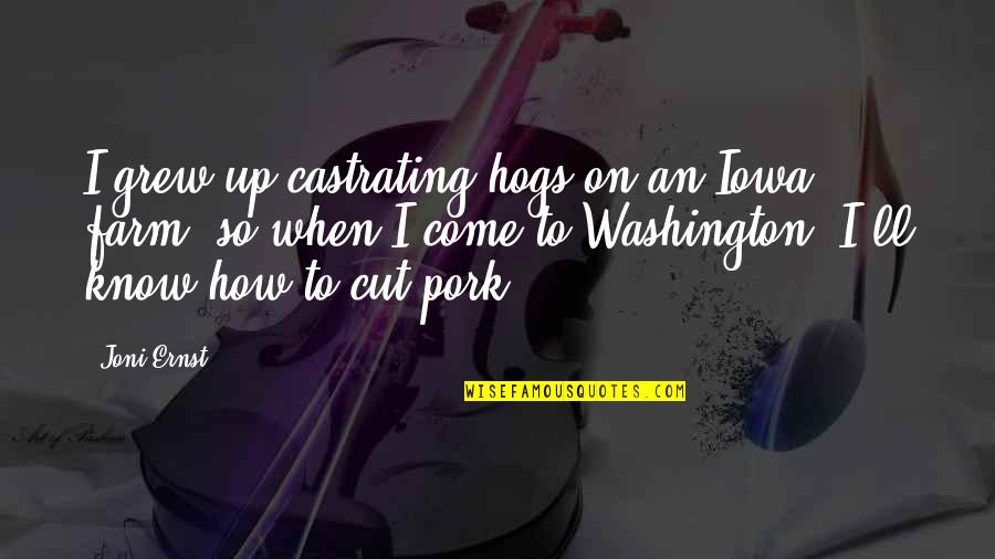 Castrating Quotes By Joni Ernst: I grew up castrating hogs on an Iowa Castrating Quotes By Joni Ernst: I grew up castrating hogs on an Iowa