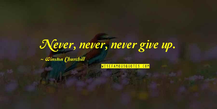 Castronovo Wine Quotes By Winston Churchill: Never, never, never give up.