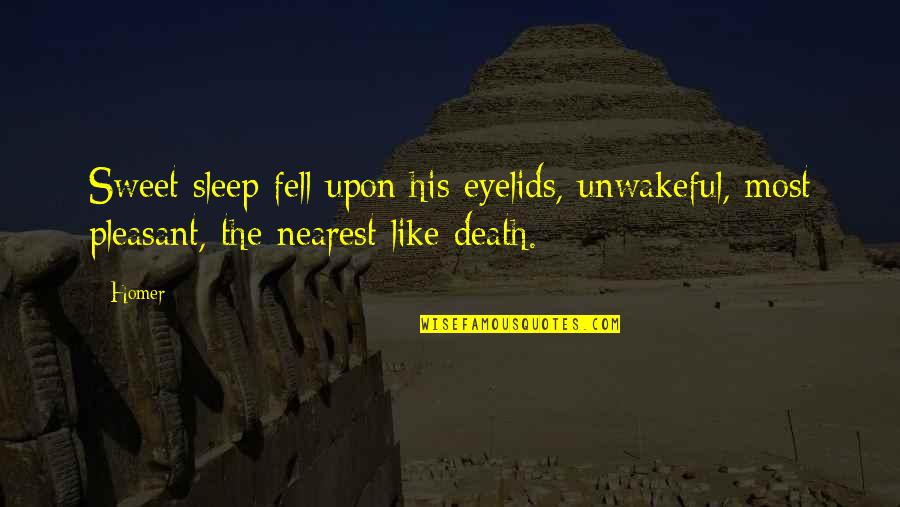 Casualties In War Quotes By Homer: Sweet sleep fell upon his eyelids, unwakeful, most