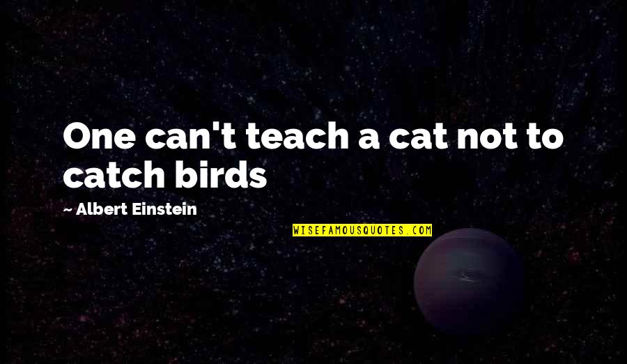 Cat And Bird Quotes By Albert Einstein: One can't teach a cat not to catch