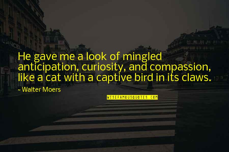 Cat And Bird Quotes By Walter Moers: He gave me a look of mingled anticipation,