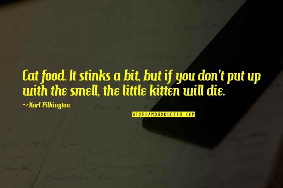 Cat And Kitten Quotes By Karl Pilkington: Cat food. It stinks a bit, but if