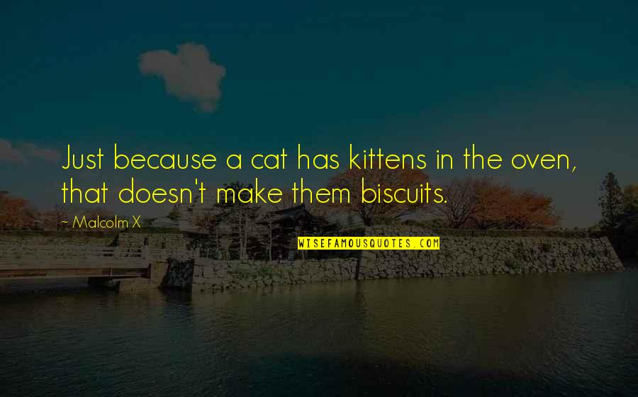 Cat And Kitten Quotes By Malcolm X: Just because a cat has kittens in the